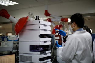 上海 中國(guó)生物醫(yī)藥創(chuàng)新的核心引擎