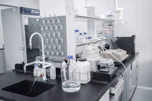 持續突破，精準制導 詩健生物的創新之旅與ADC藥物研發新篇